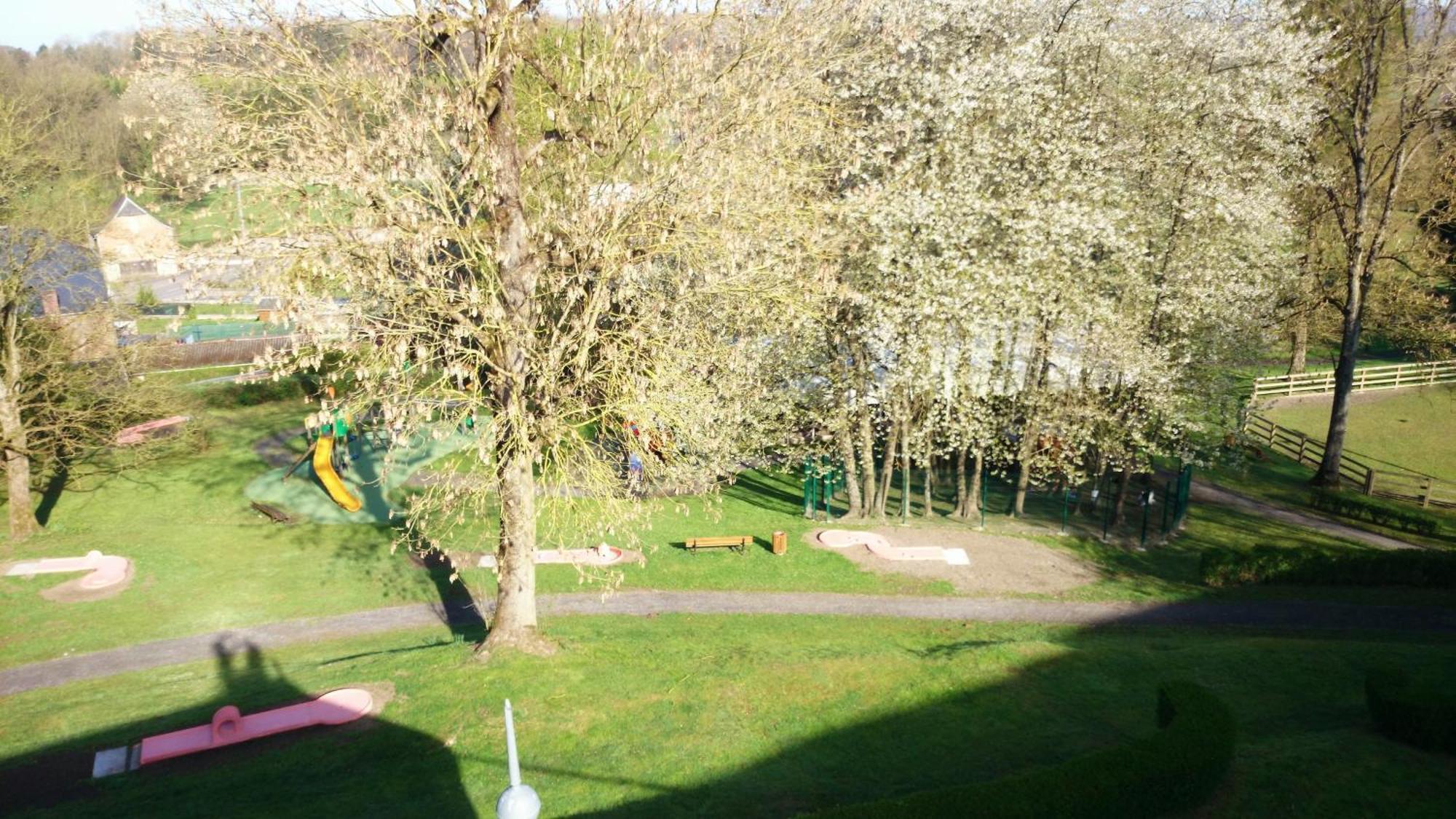 Centre Bol Vert Trélon Oda fotoğraf
